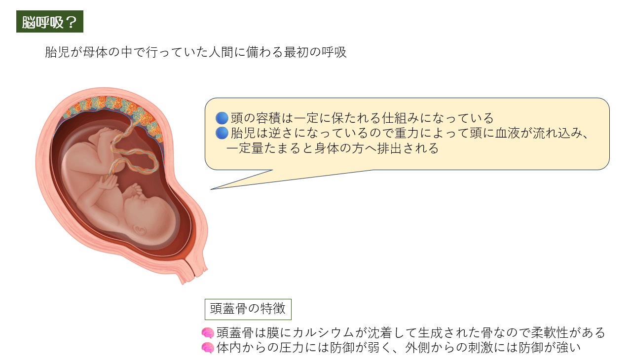 脳整体ラボ Yokohama 🦄