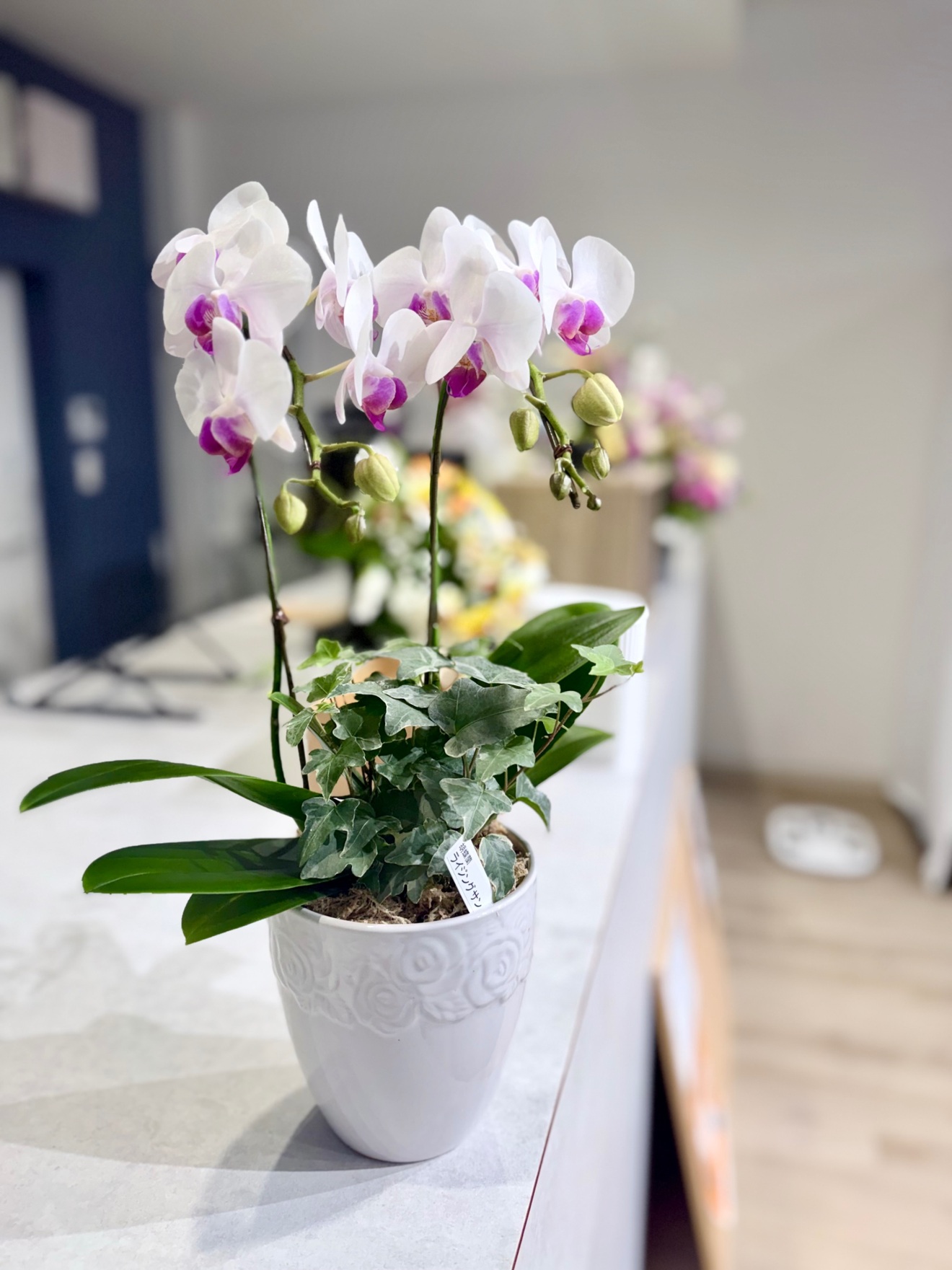 パーソナルジムshinpo