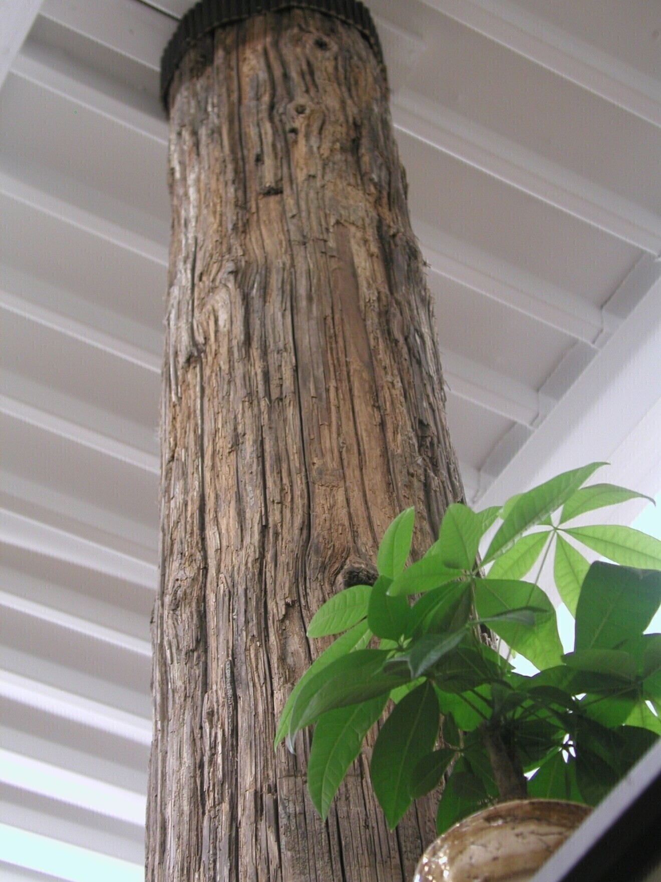 ヘアリゾートアジア　南浦和店