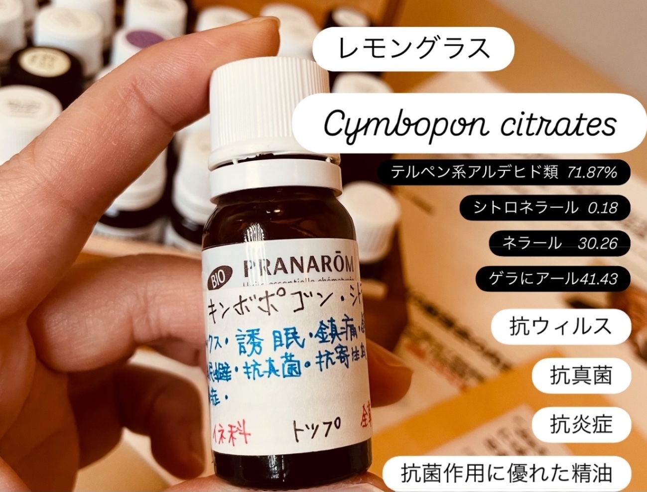 Porepore《ポレポレ》春日原店