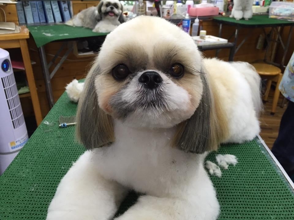 ワンワンショップ　パルコ