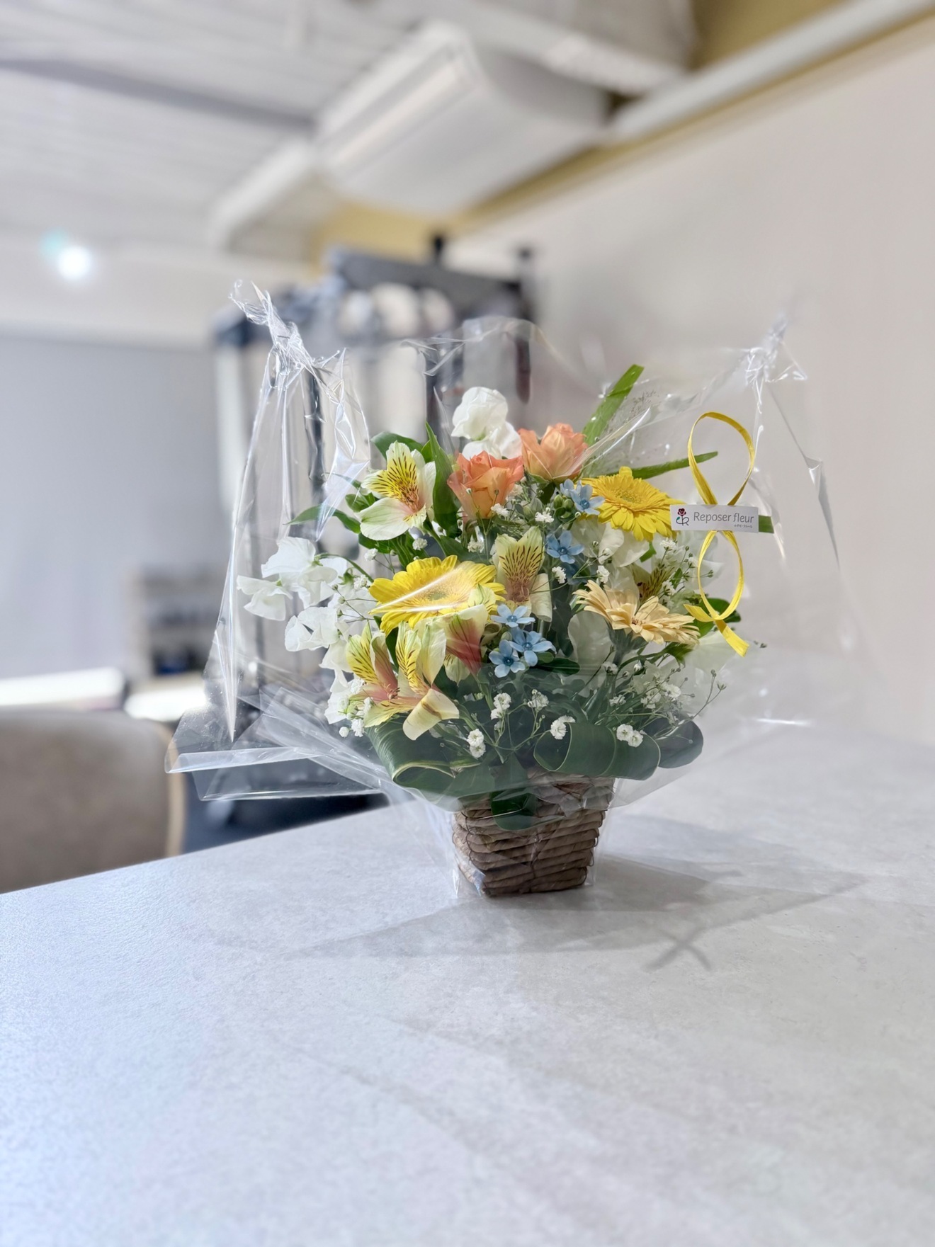 パーソナルジムshinpo