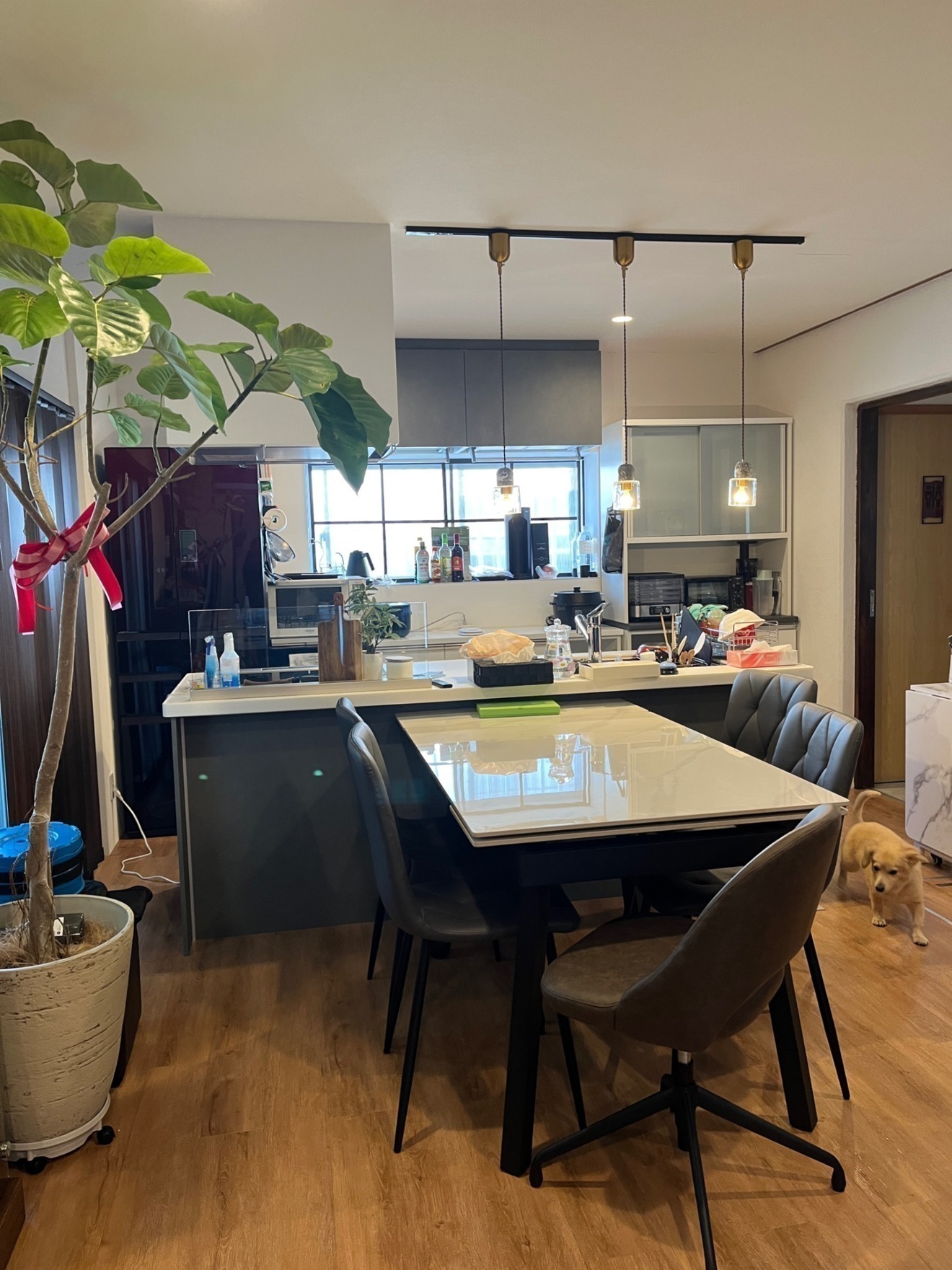 マロンハウス(民泊施設)