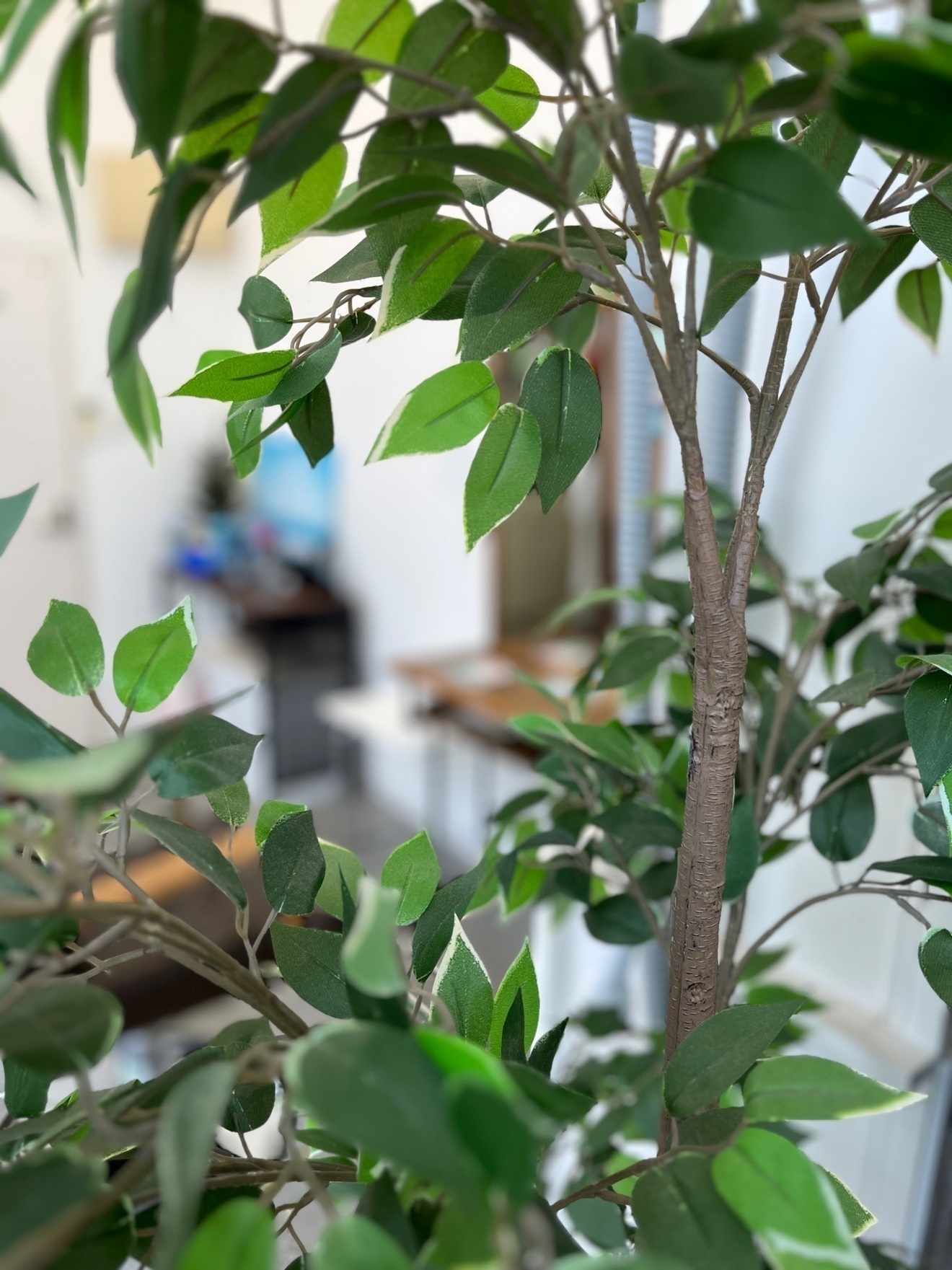 h-aide【ヘアーエイド】