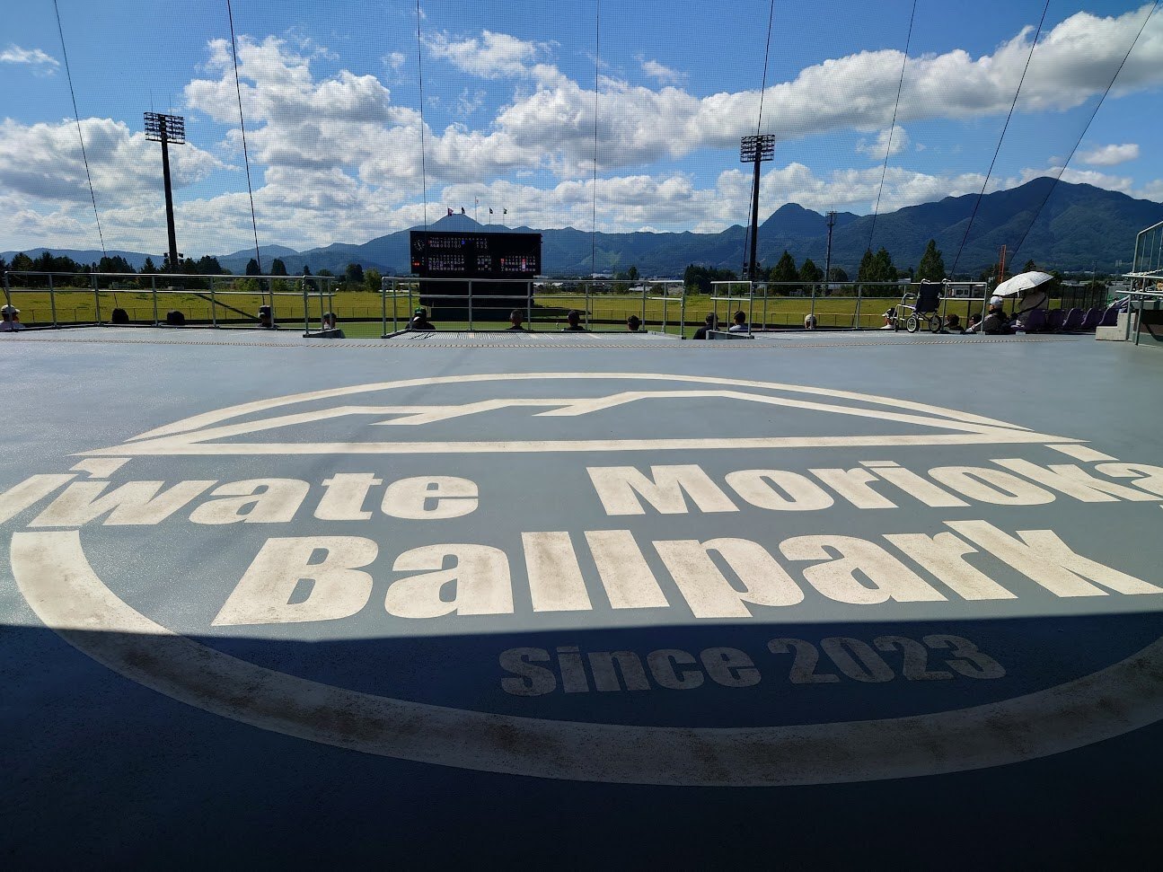 はりきゅう権現堂