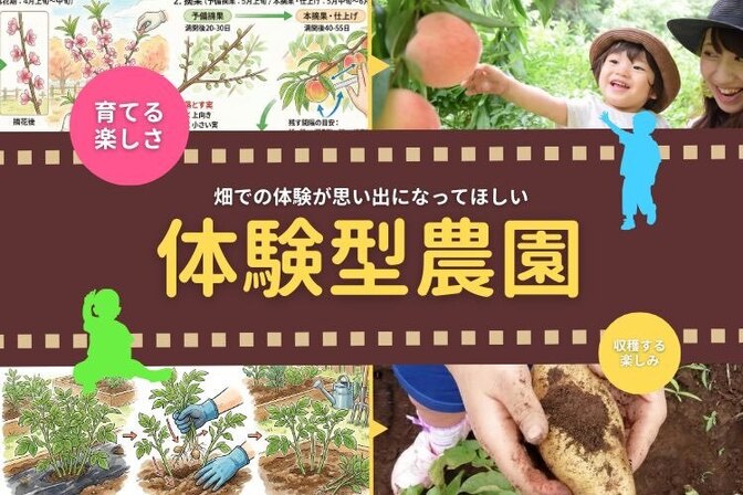 あおぞらふぁーむ（直売・収穫体験）和歌山