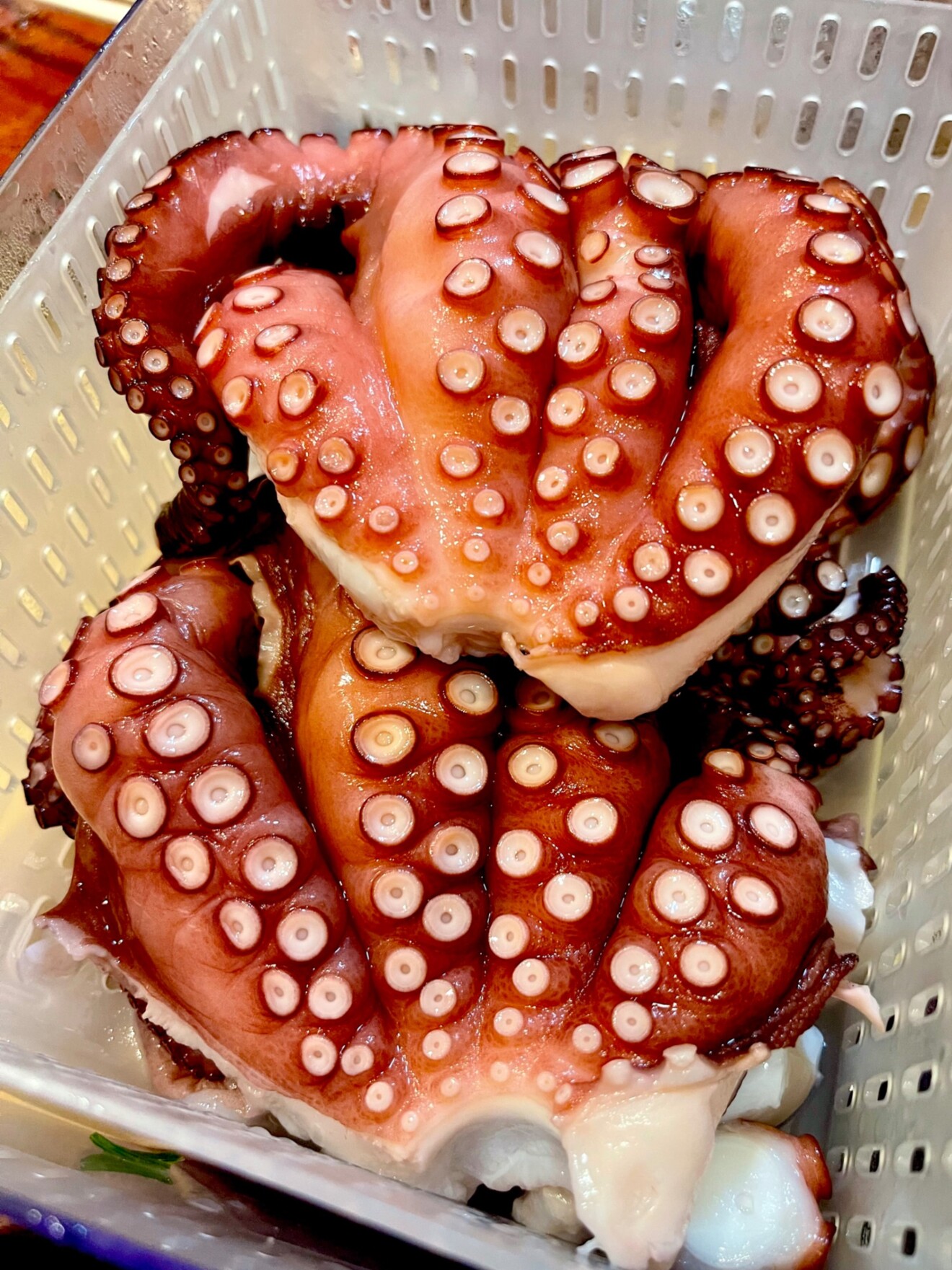 唐草屋|たこ焼きイカ焼きl喜連瓜破駅前