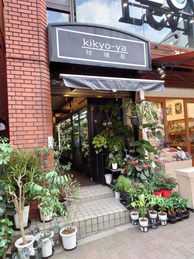 花屋「桔梗屋」神楽坂本店