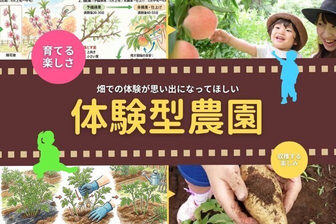 あおぞらふぁーむ（直売・収穫体験）和歌山