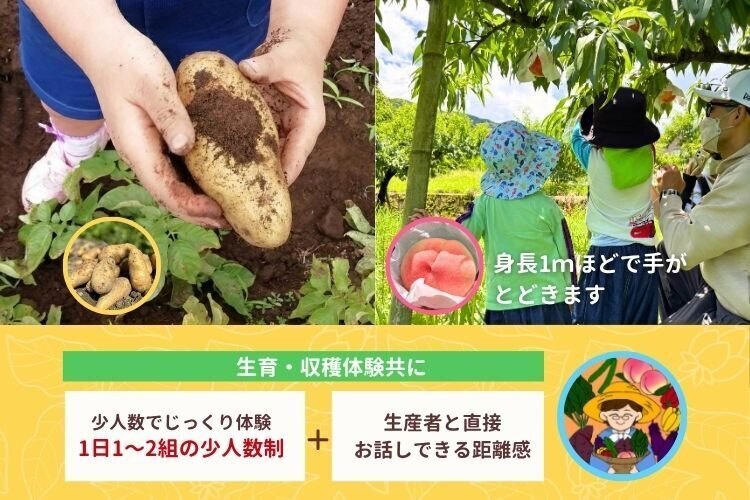 あおぞらふぁーむ（直売・収穫体験）和歌山