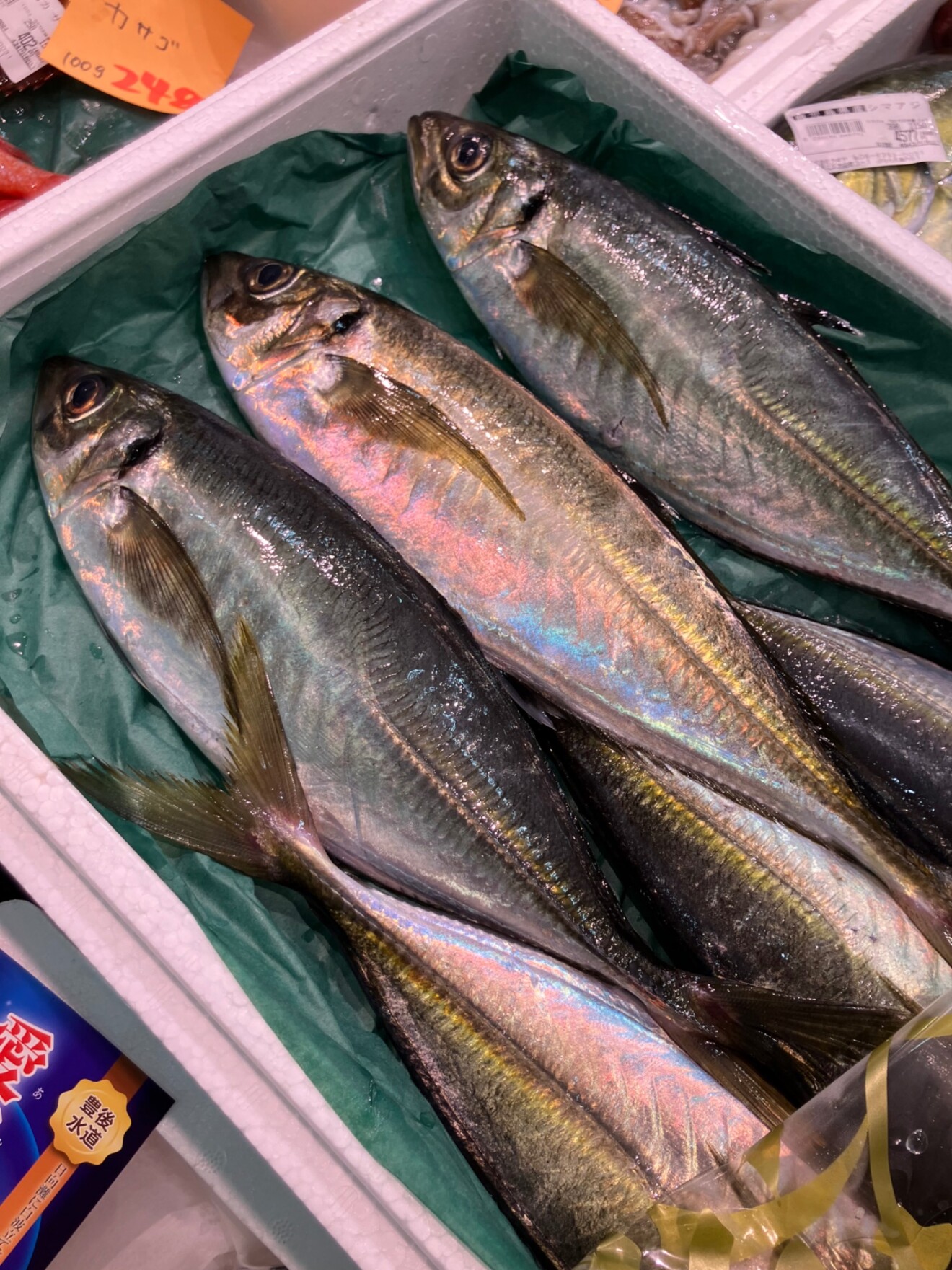 お魚屋さんかぎや・大阪天満