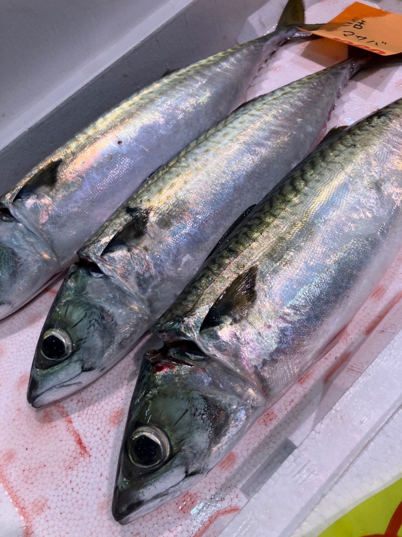 お魚屋さんかぎや・大阪天満