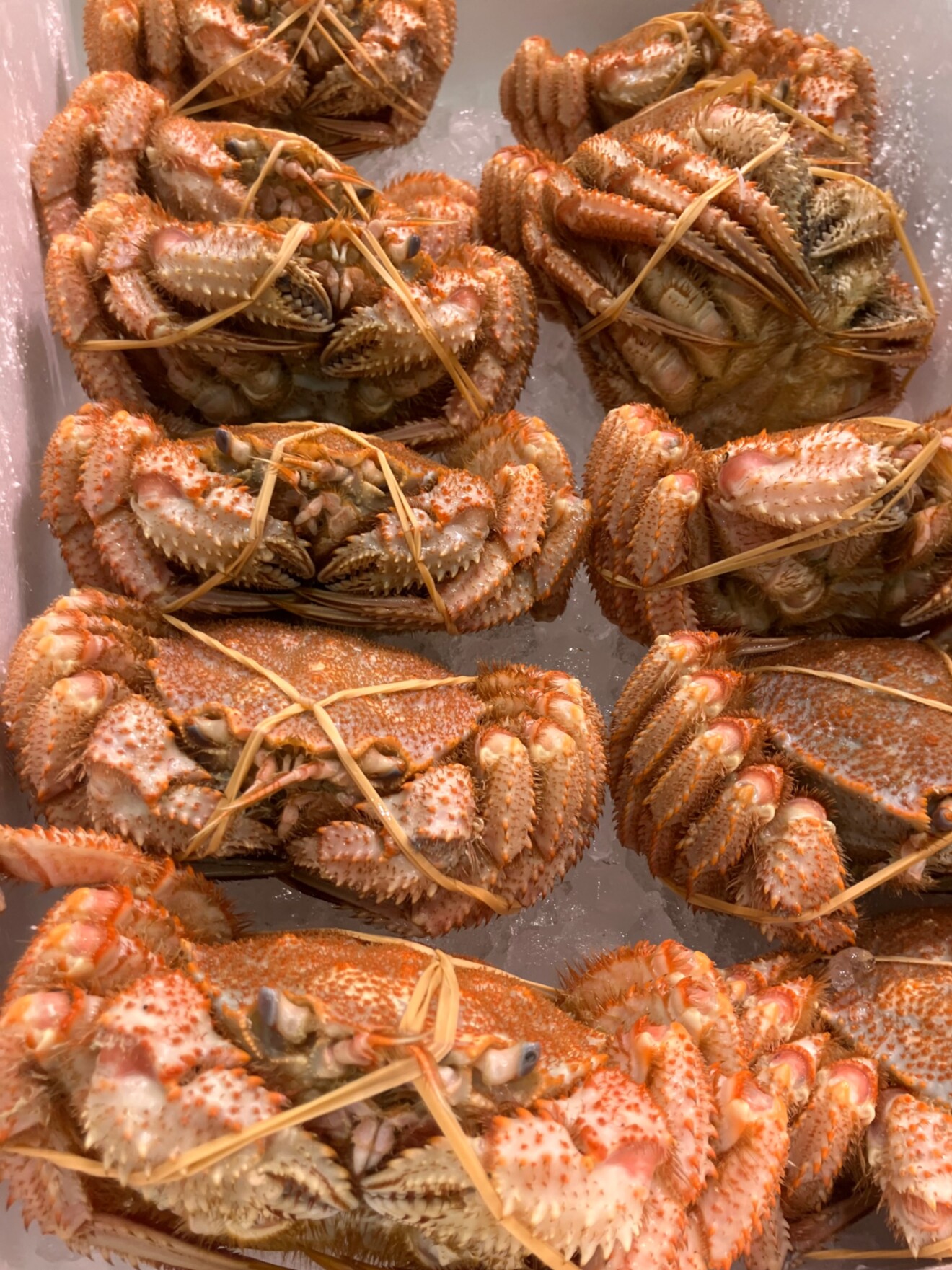 お魚屋さんかぎや・大阪天満