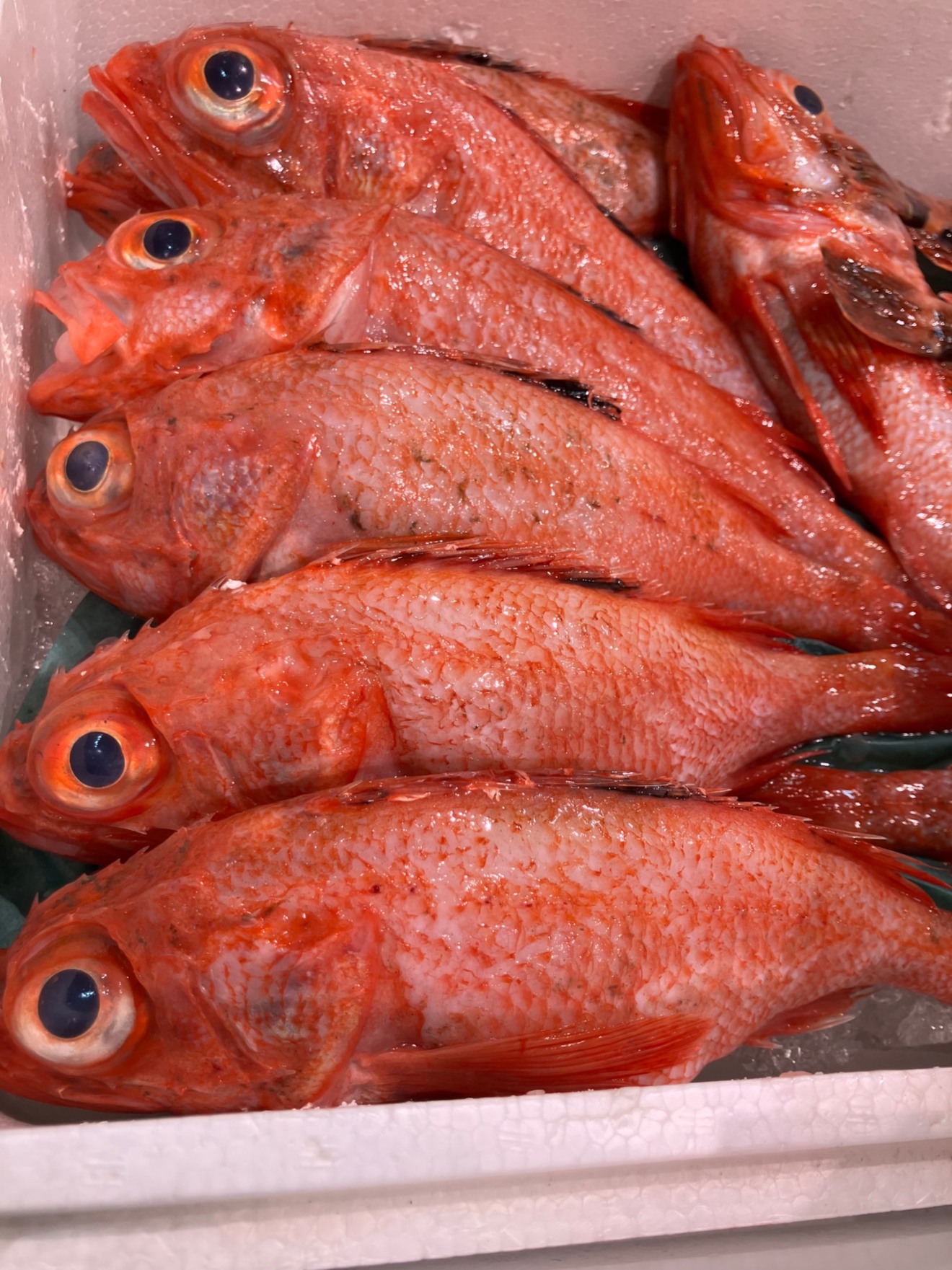 お魚屋さんかぎや・大阪天満