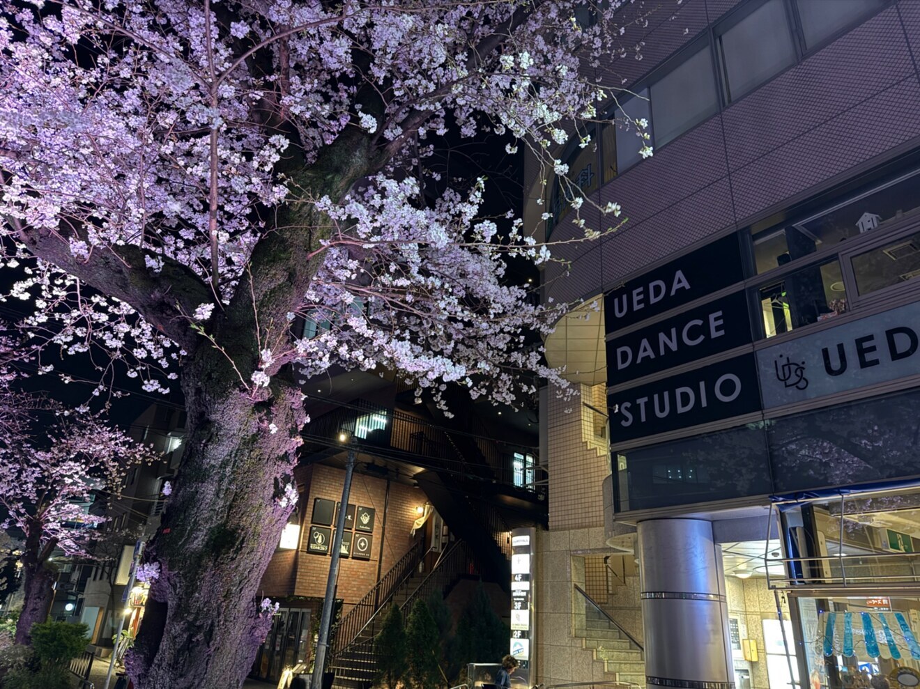 ウエダダンススタジオ