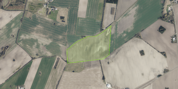 Matrikelkort Skovvej 45