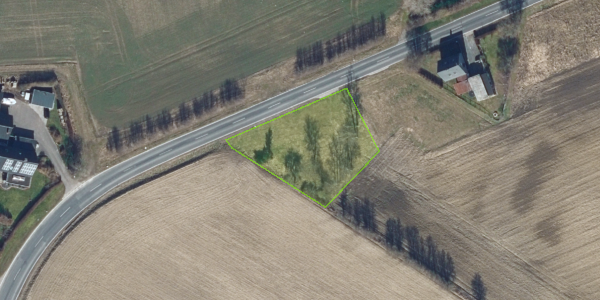Matrikelkort Bjerreskovvej 31