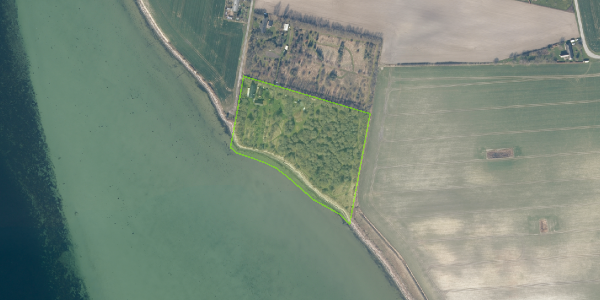 Matrikelkort Vestermark 19