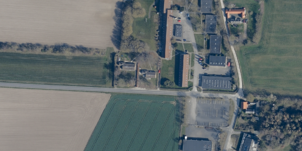 Matrikelkort Mandehoved 7