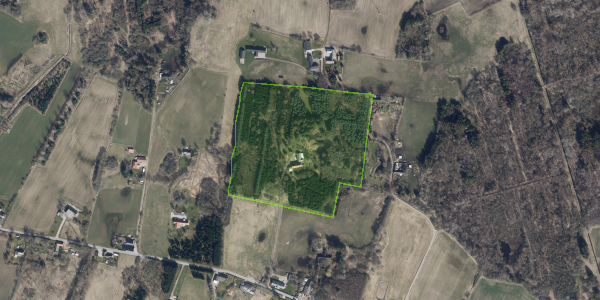 Matrikelkort Løgeskov 52