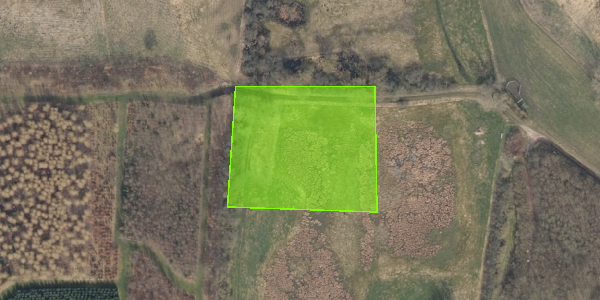 Matrikelkort Rundingen 8
