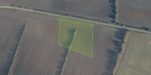 Matrikelkort Borgmark 9
