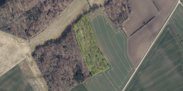 Matrikelkort Hajstrupgade 31