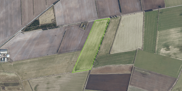 Matrikelkort Munkskov 3