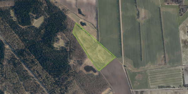 Matrikelkort Bjerrumvej 16
