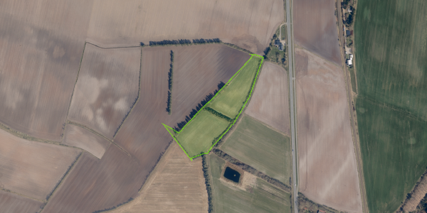 Matrikelkort Ribevej 111
