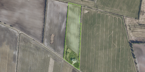 Matrikelkort Vesterskov 10