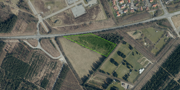 Matrikelkort Ribevej 52