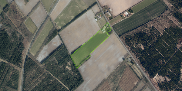 Matrikelkort Ribevej 74