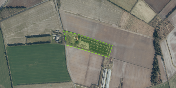Matrikelkort Torrupvej 29