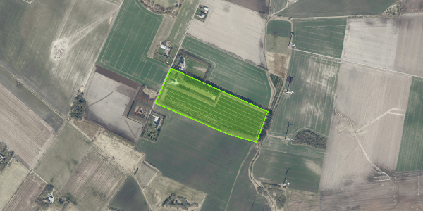 Matrikelkort Tanderup Mark 11