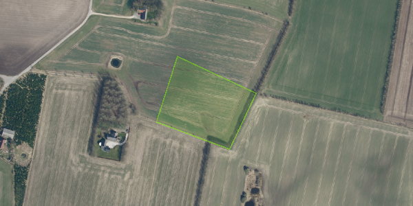 Matrikelkort Birk 8