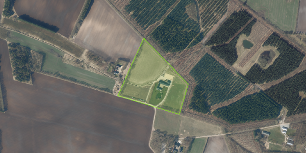 Matrikelkort Bordinglund 4