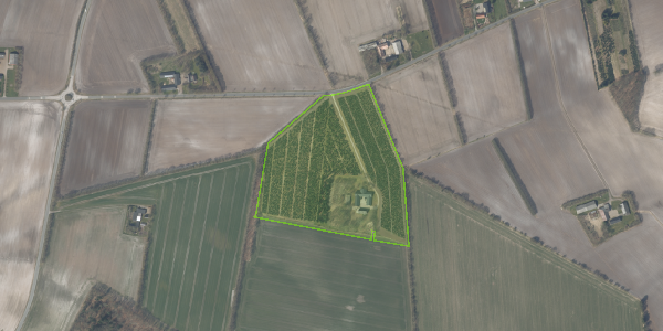 Matrikelkort Trehuse 5