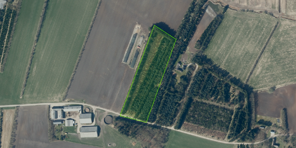 Matrikelkort Brinkvej 1