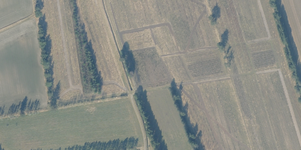Matrikelkort Pindborgvej 21