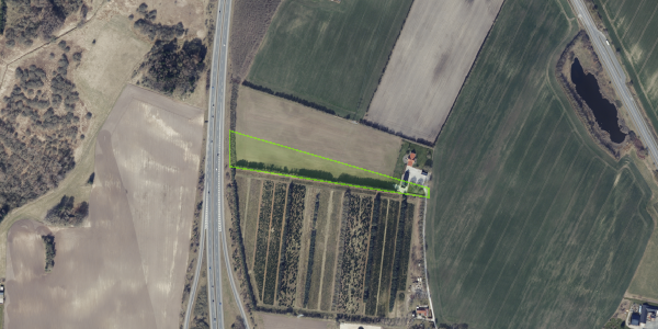 Matrikelkort Ødumvej 21
