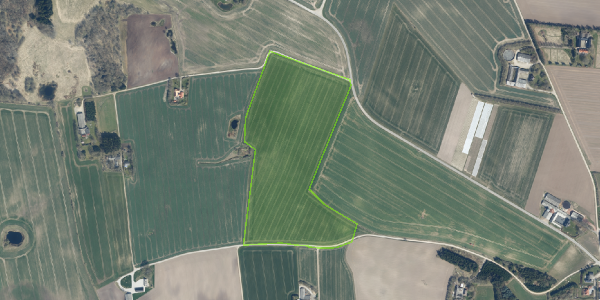 Matrikelkort Bjerring Hede 19