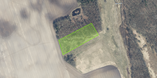 Matrikelkort Bjerring Hede 31