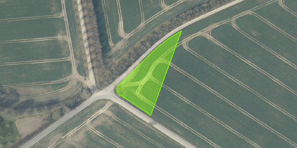Matrikelkort Bjerring Hede 48