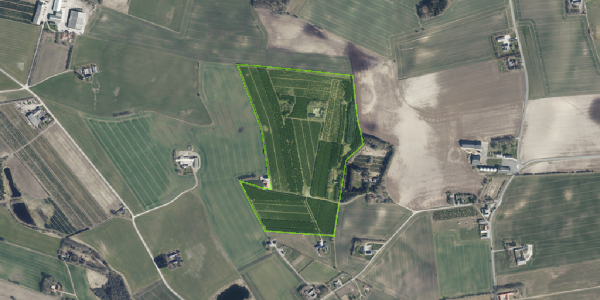 Matrikelkort Markvangen 4