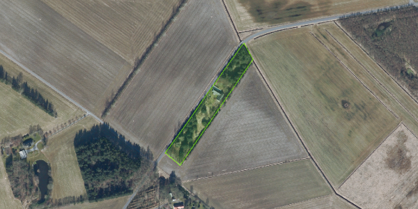 Matrikelkort Trynmosevej 8