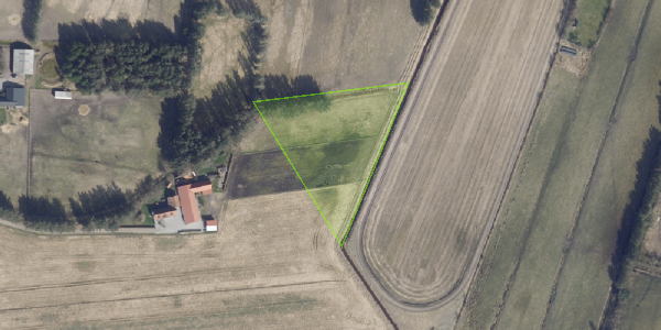 Matrikelkort Fennen 21