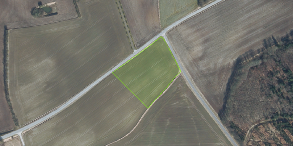 Matrikelkort Borrisholtvej 231