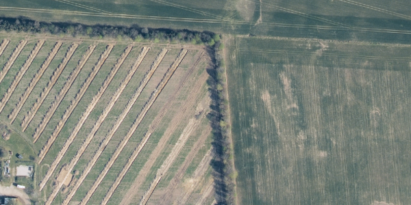 Matrikelkort Rugmarken 1