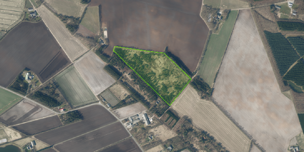 Matrikelkort Bordinglund 5B